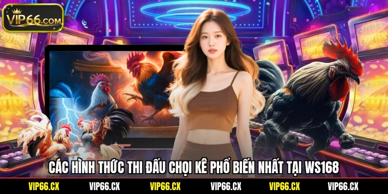 Các hình thức thi đấu chọi kê phổ biến nhất tại WS168