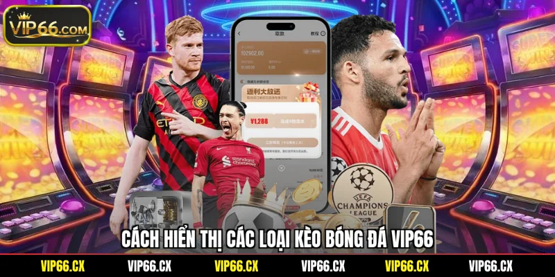 Cách hiển thị các loại kèo bóng đá Vip66