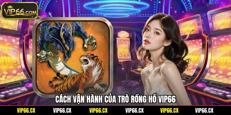 Cách vận hành của trò Rồng Hổ Vip66