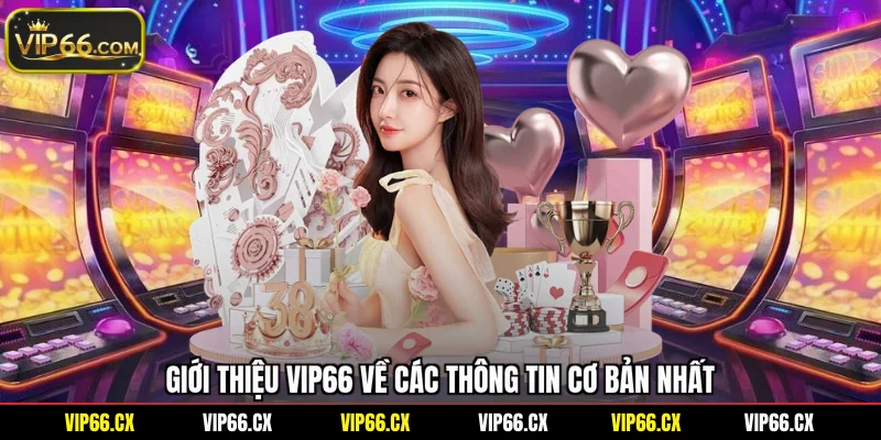 Giới thiệu Vip66 về các thông tin cơ bản nhất