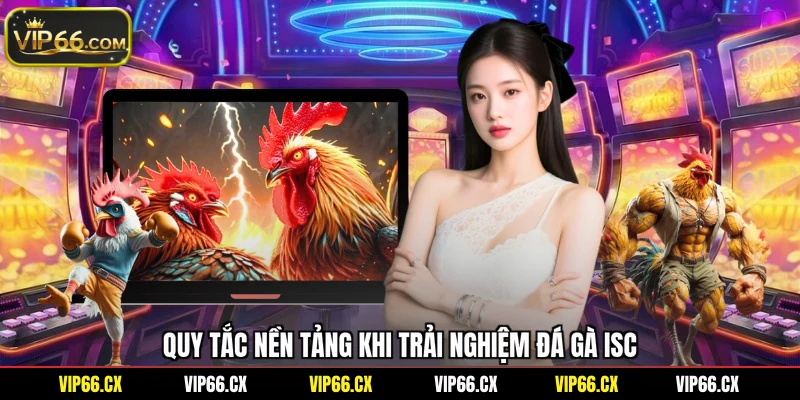 Quy tắc nền tảng khi trải nghiệm đá gà ISC