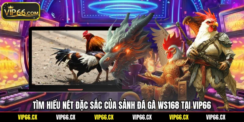 Tìm hiểu nét đặc sắc của sảnh đá gà WS168 tại Vip66