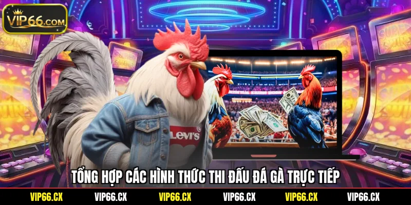 Tổng hợp các hình thức thi đấu đá gà trực tiếp